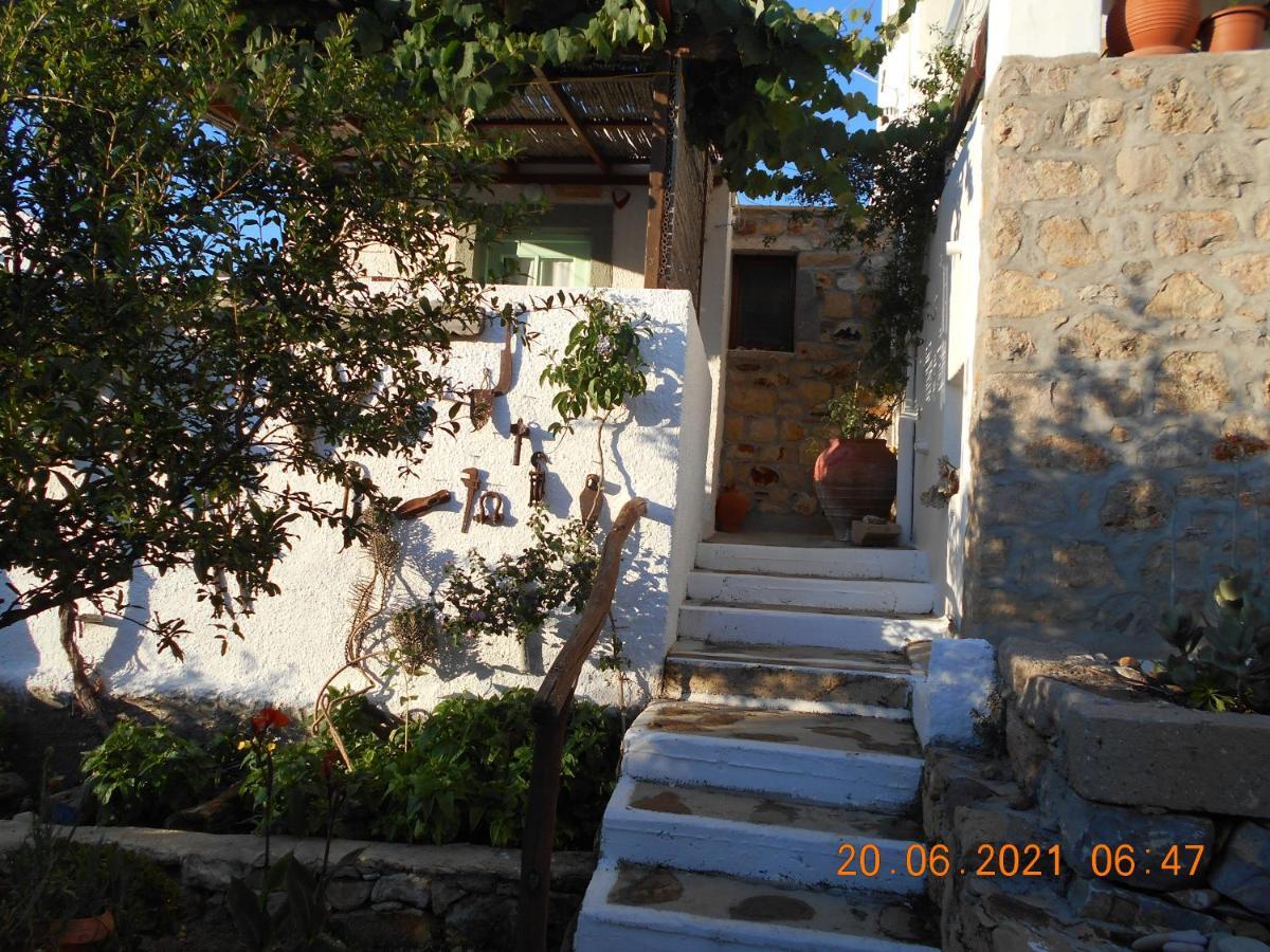 Patmos Mathios Studios- Apartments Sapsila エクステリア 写真