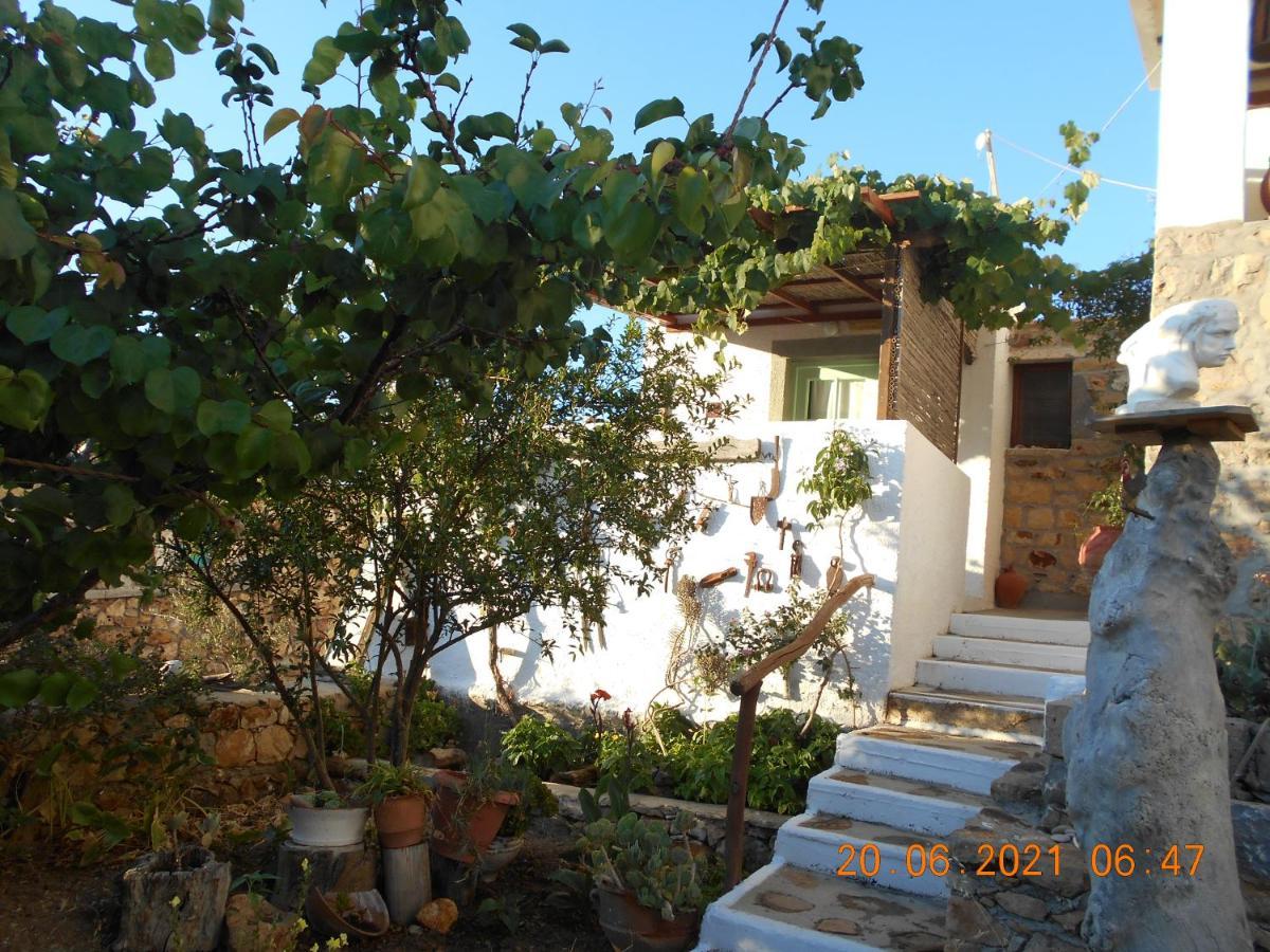 Patmos Mathios Studios- Apartments Sapsila エクステリア 写真