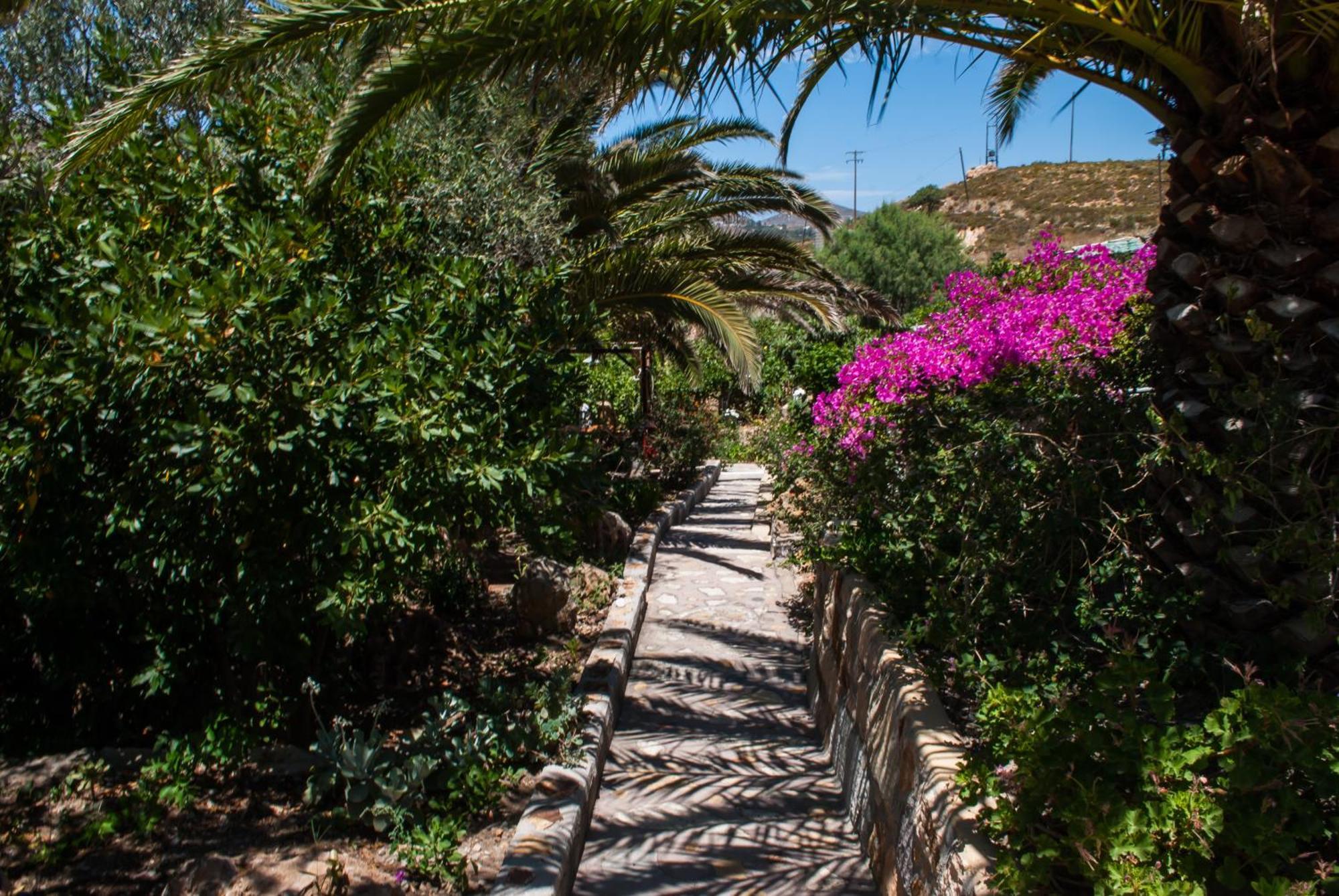 Patmos Mathios Studios- Apartments Sapsila エクステリア 写真